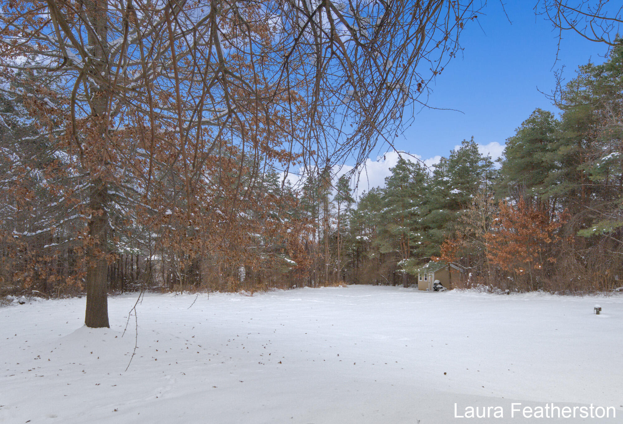 9735 Wildcat Run Court NE