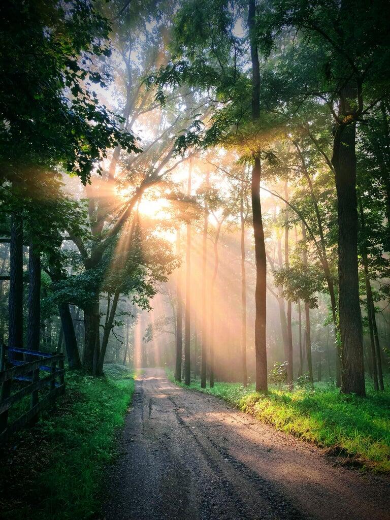 3705 Grand River Drive NE