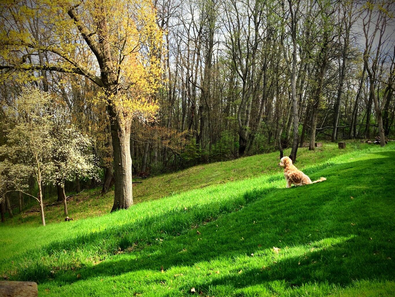 3705 Grand River Drive NE