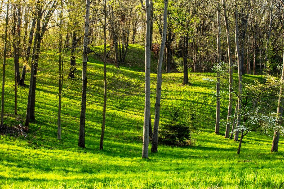 3705 Grand River Drive NE