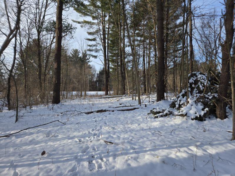 70386 M 43 Street Lot C