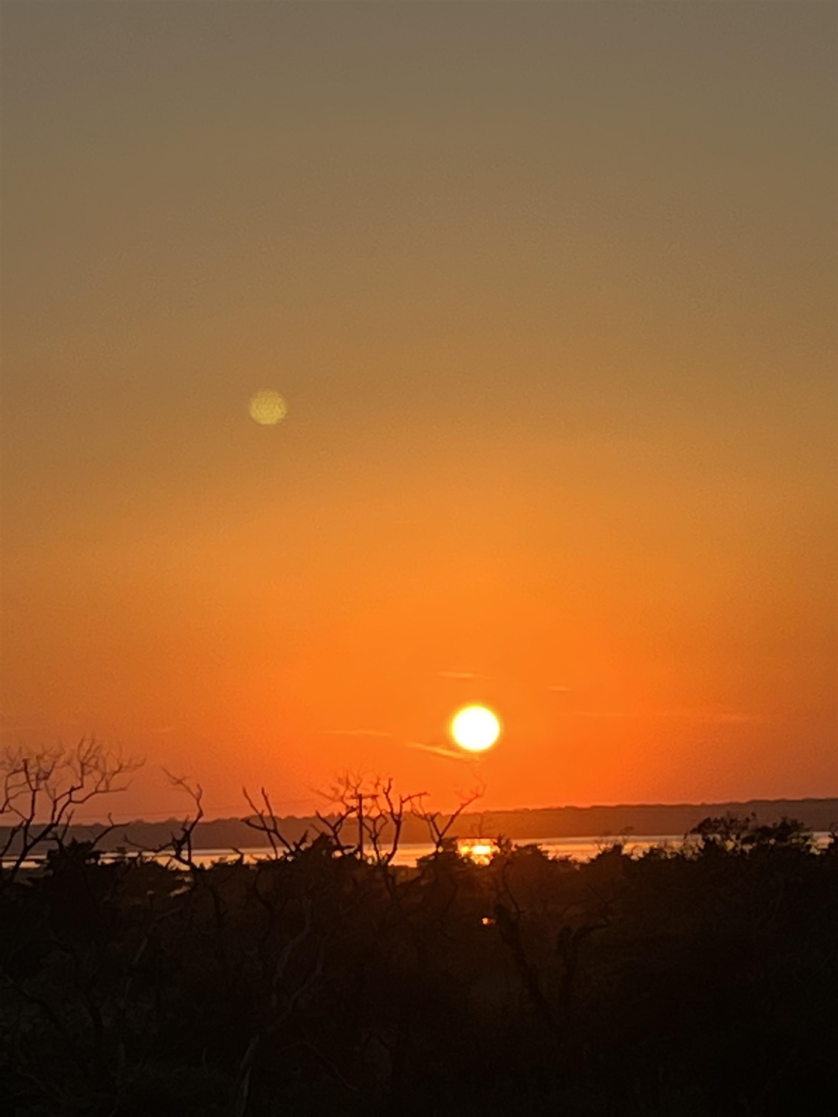 300 E Raleigh Avenue Unit: 216