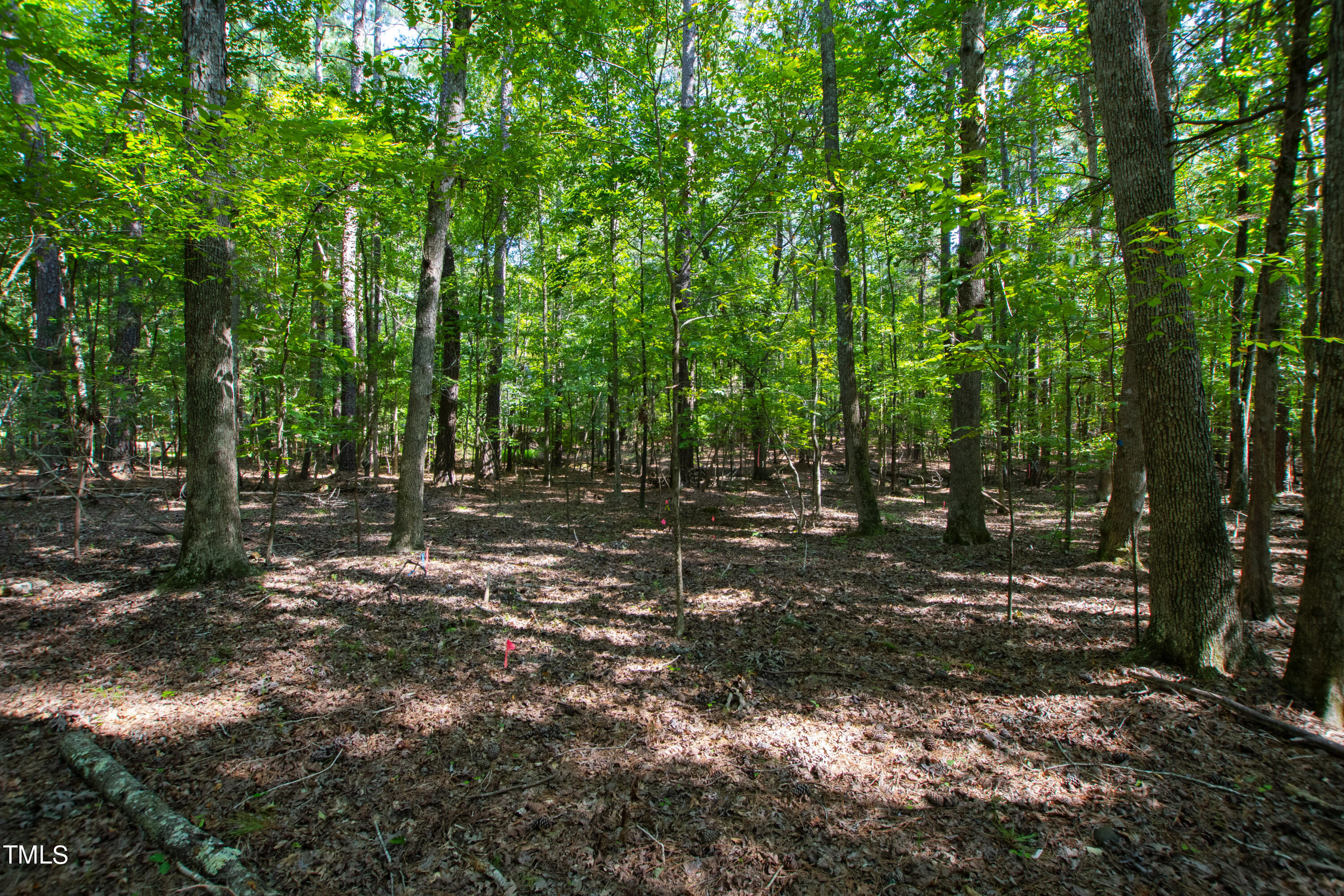 Lot 8/9 New Hope Drive