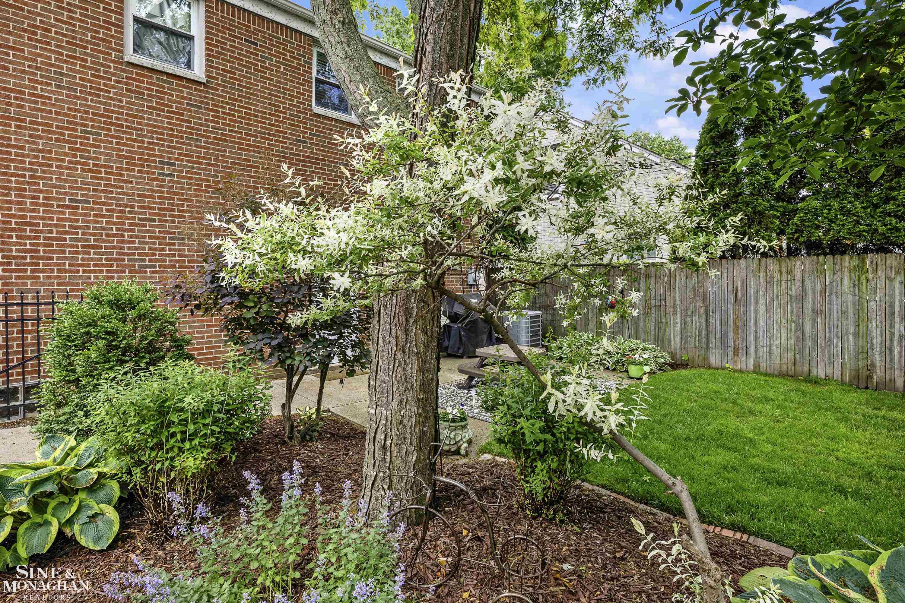 1984 Lancaster Street