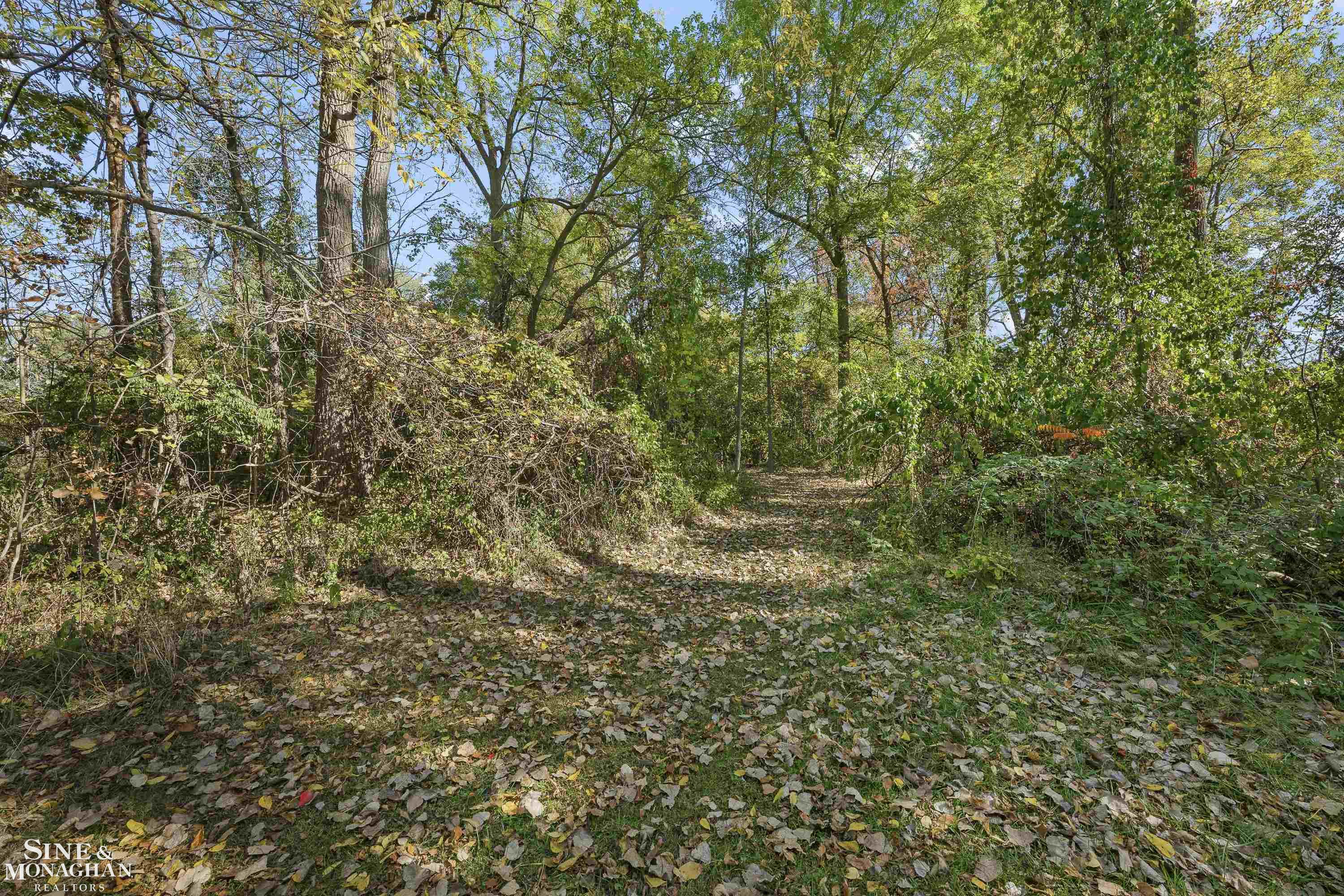 22050 Cass Street, Farmington Hills