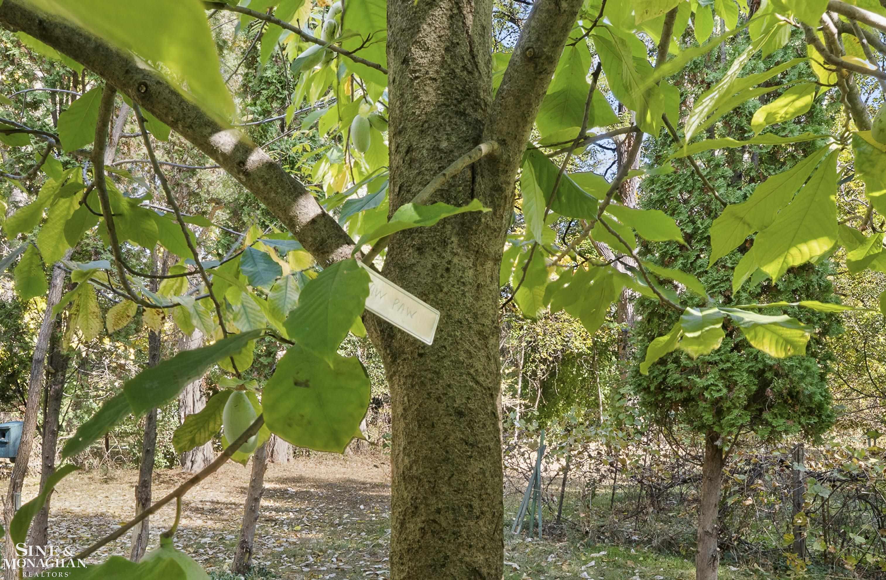 22050 Cass Street, Farmington Hills