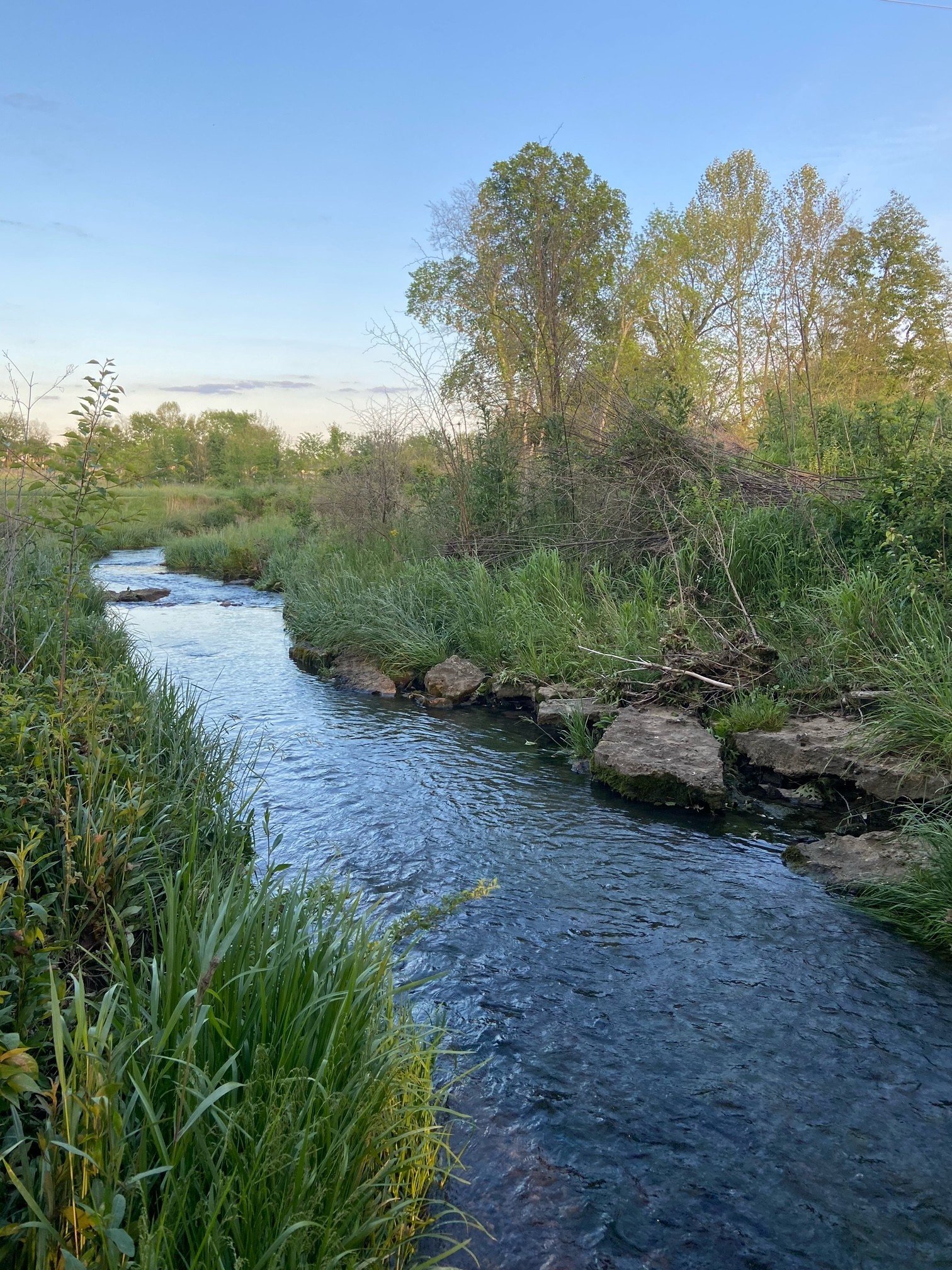 1253 Carters Creek Pike