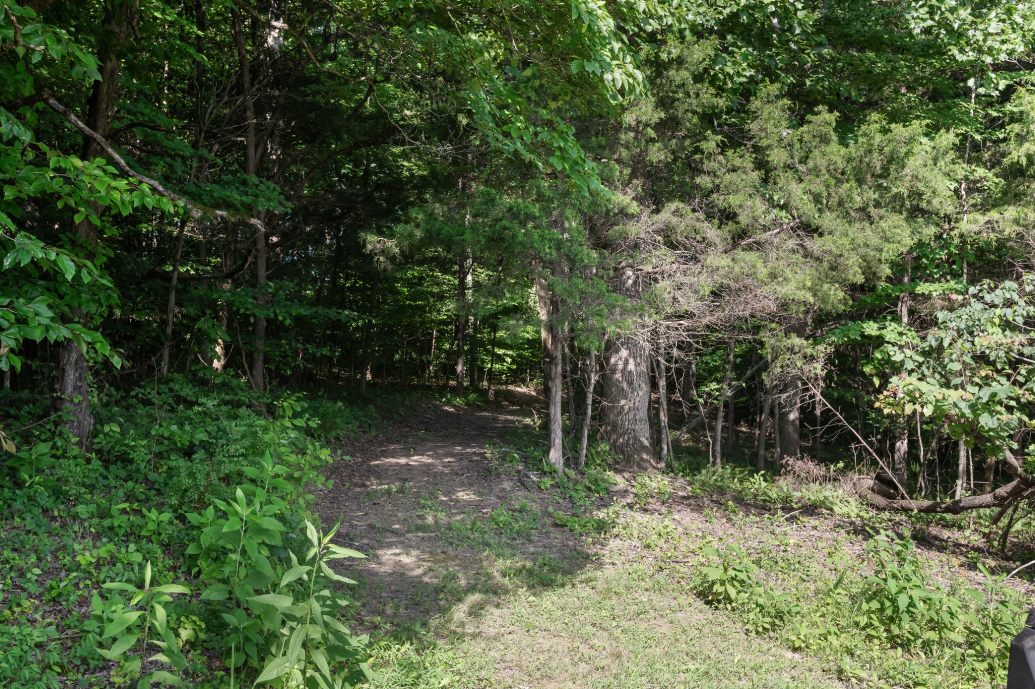 1025 Choate Rd