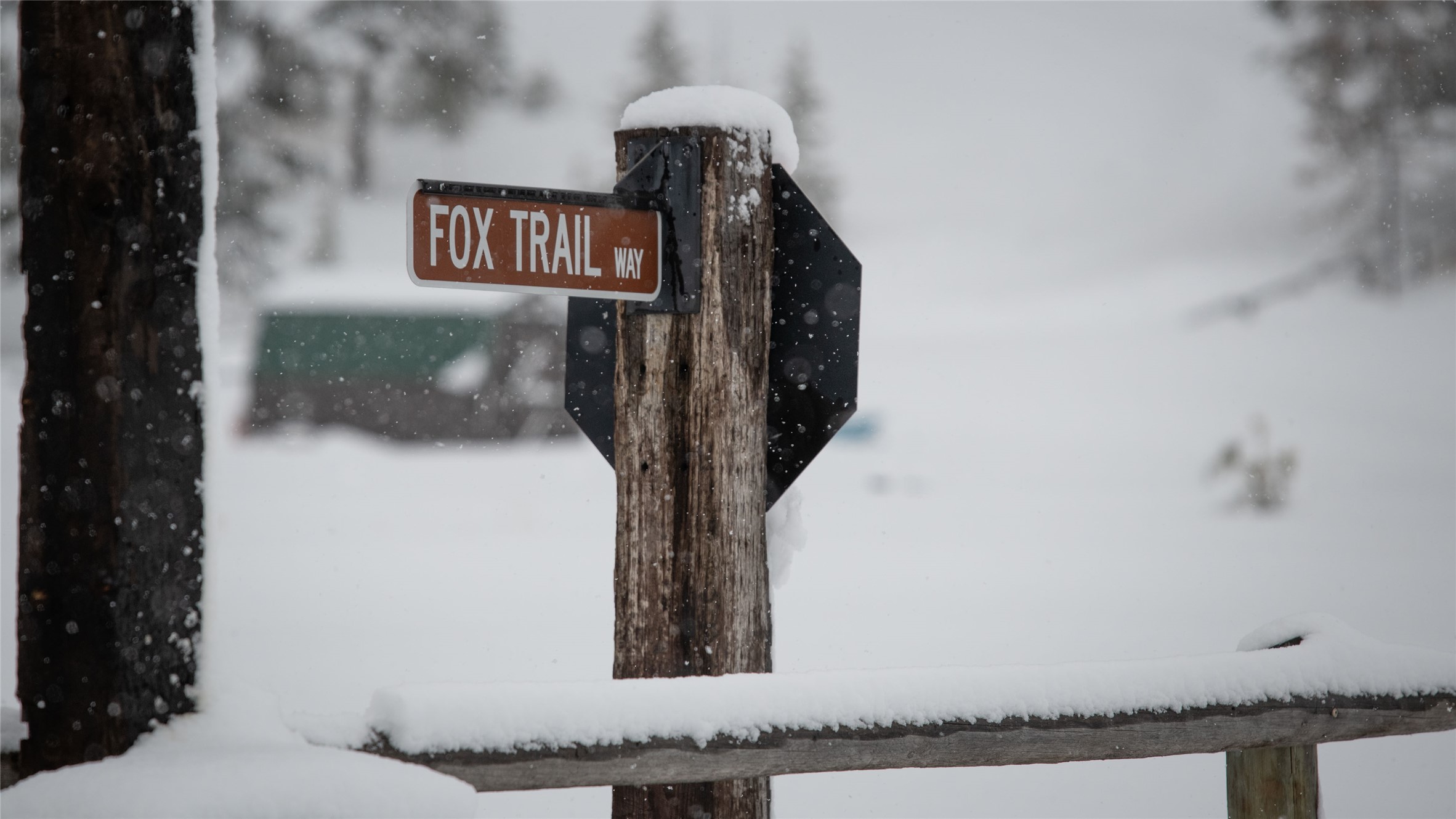 5 Fox Trail Way
