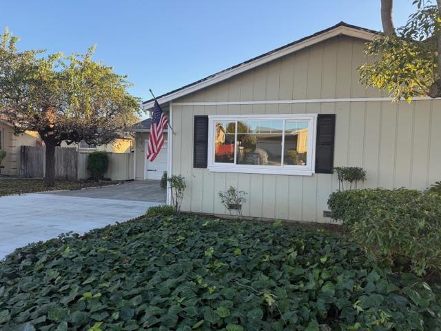 136 Celia Drive