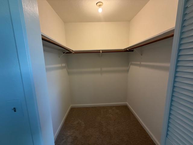 136 Celia Drive