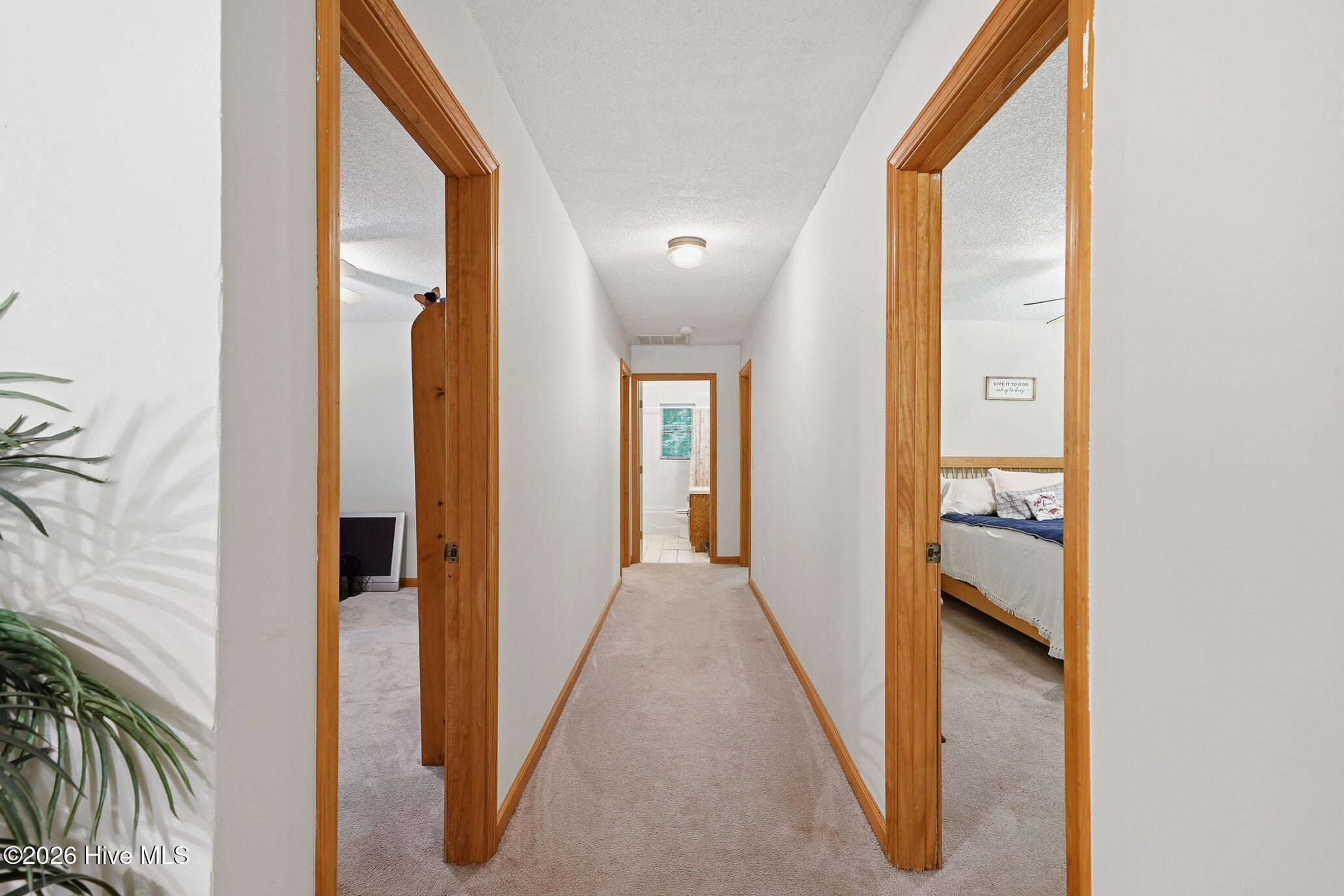 562 Sunny Lane