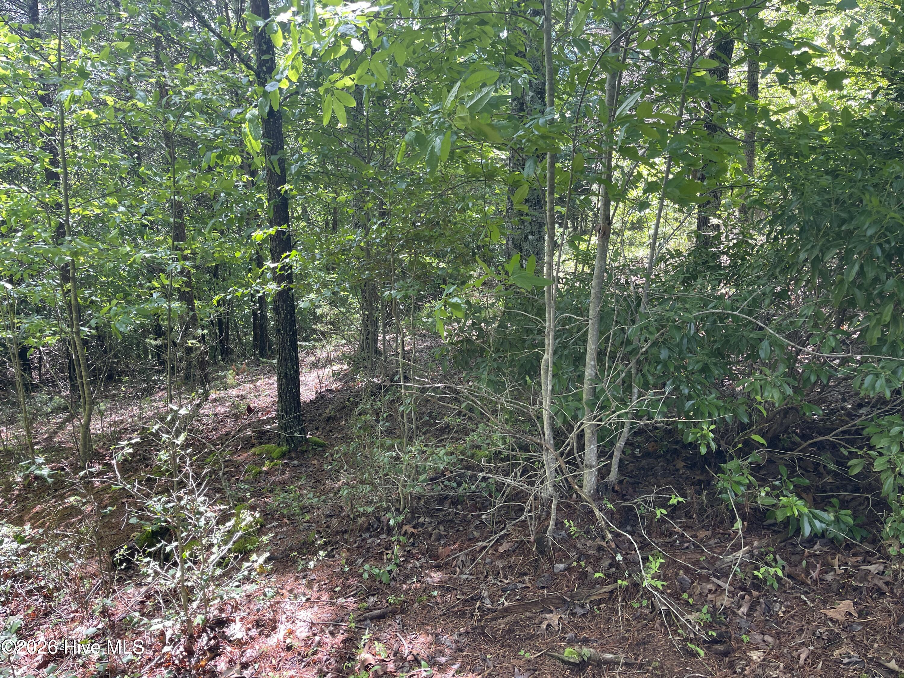 0 96 River Mountain Road