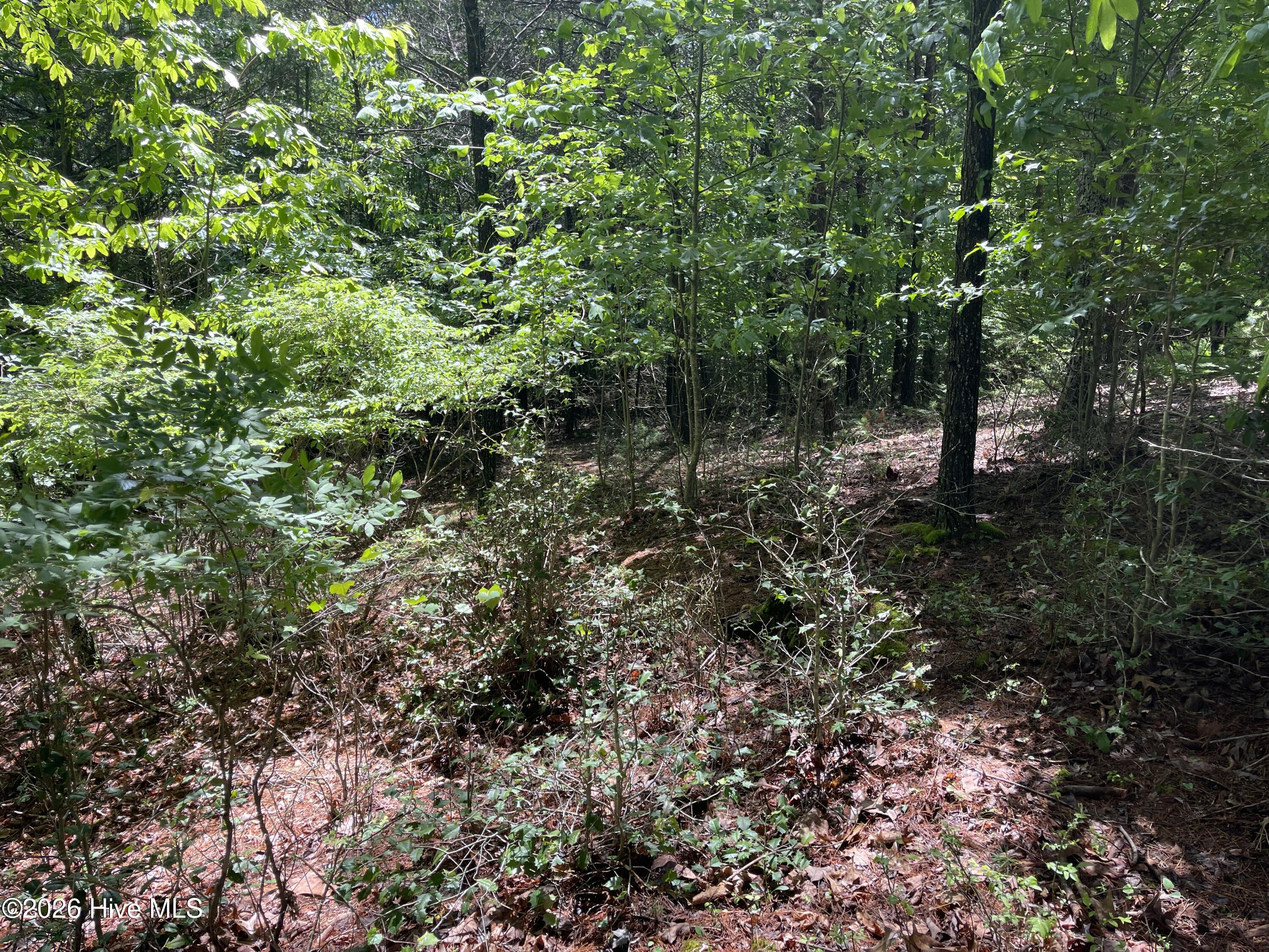 0 96 River Mountain Road