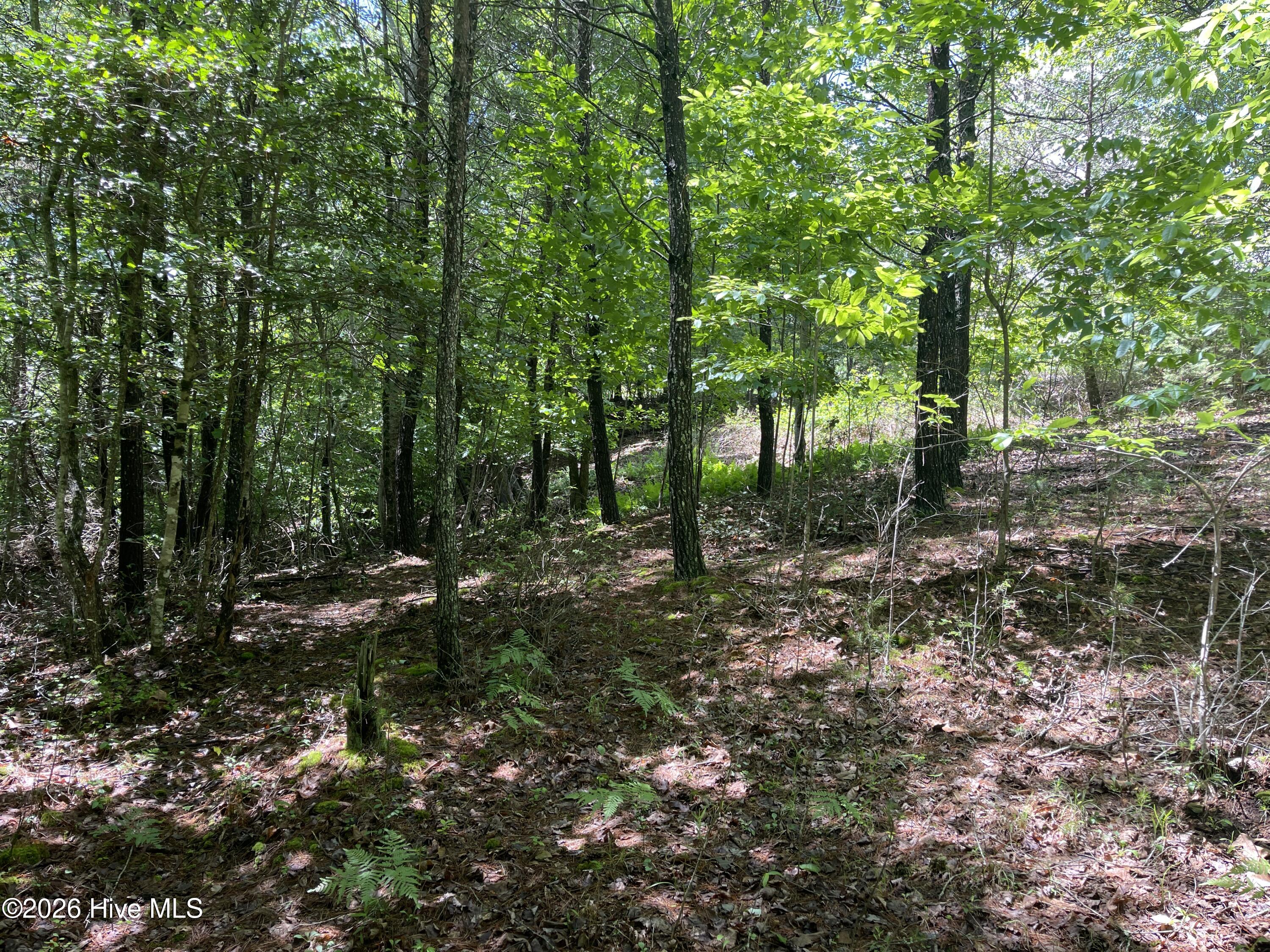 0 96 River Mountain Road