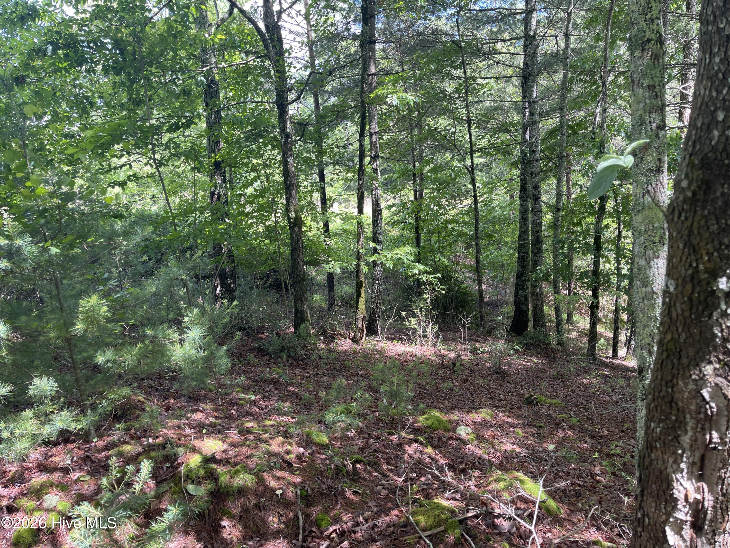0 96 River Mountain Road