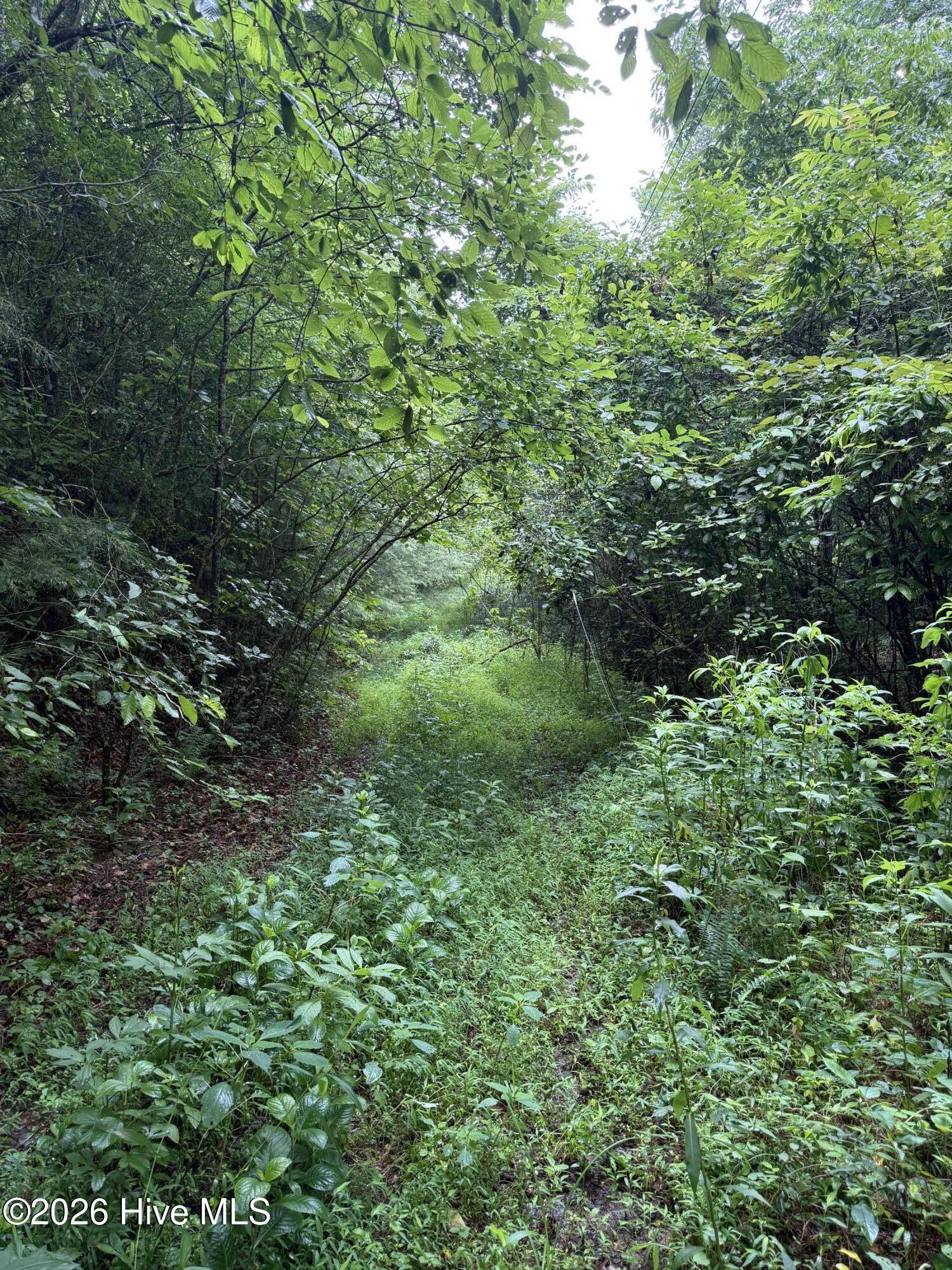 00 Poley Morrow Road