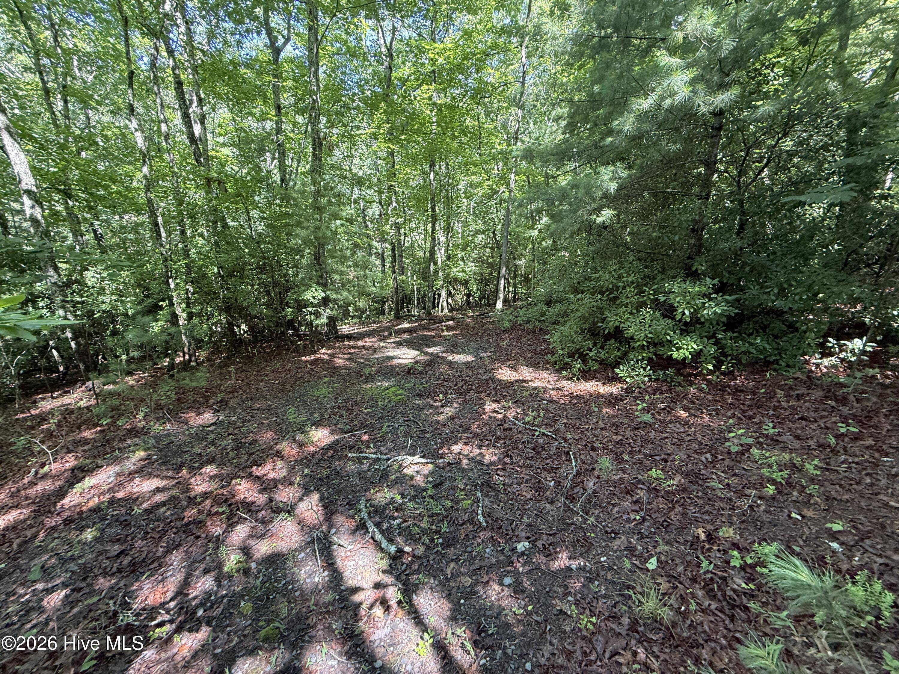 81 81D Roberts Road