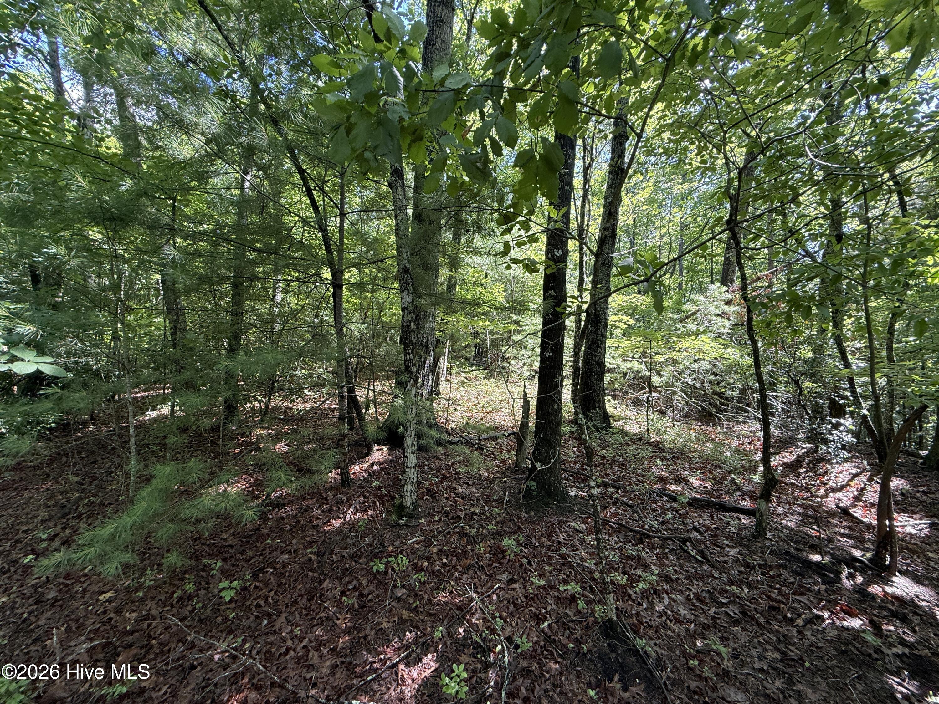 81 81D Roberts Road