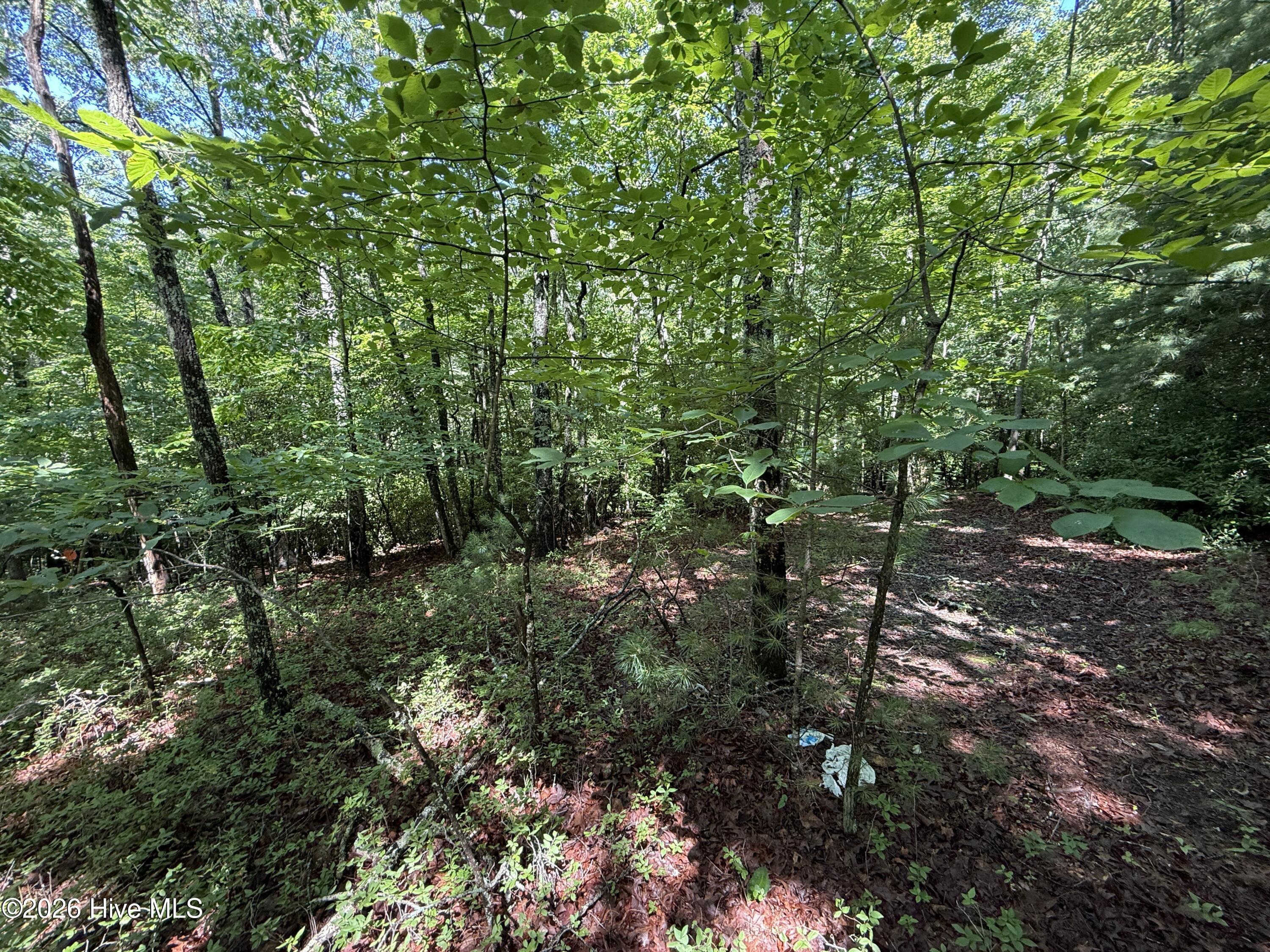 81 81D Roberts Road