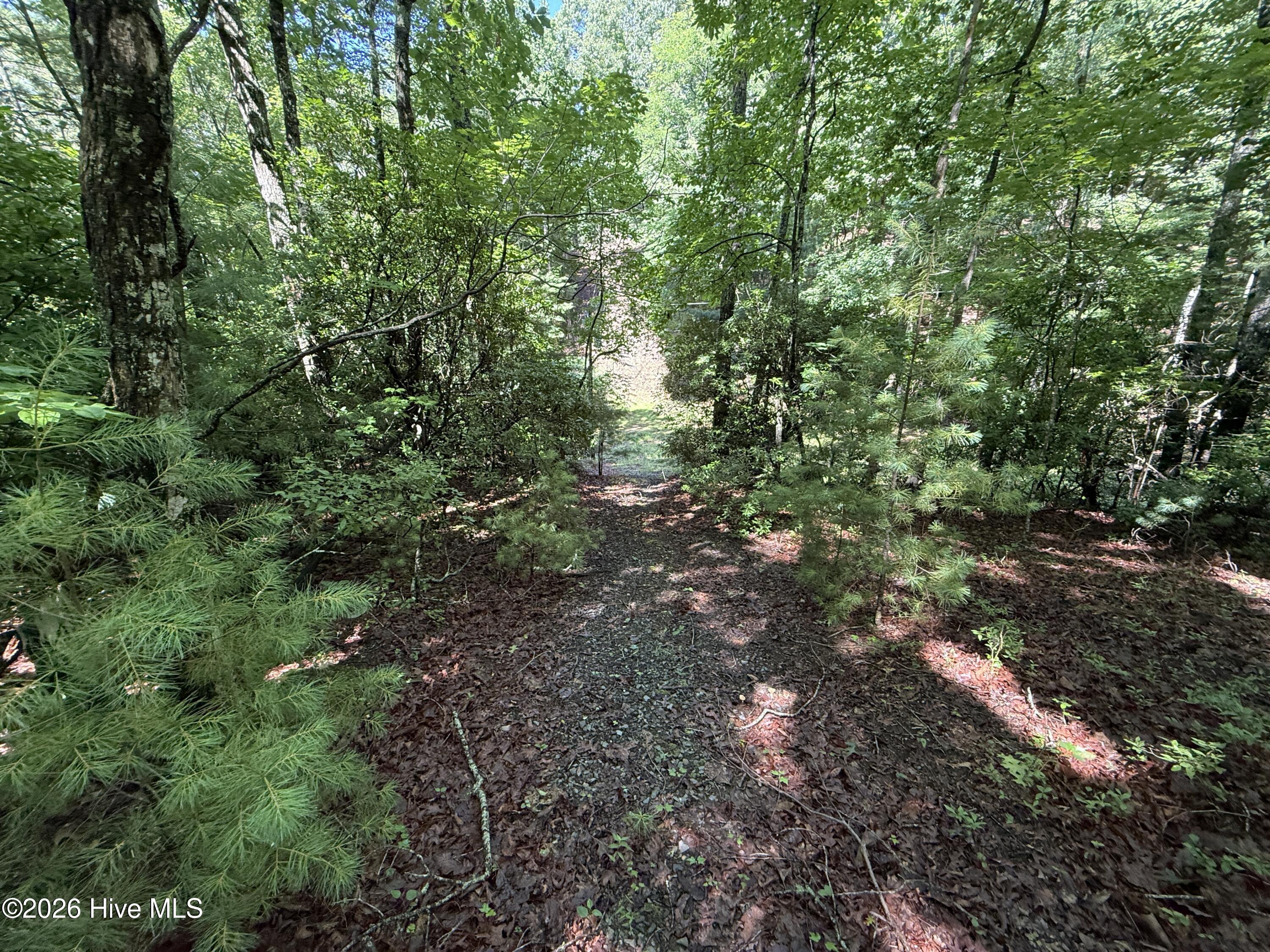 81 81D Roberts Road