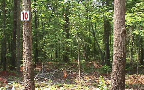 LOT10 Sherwood Forest Drive