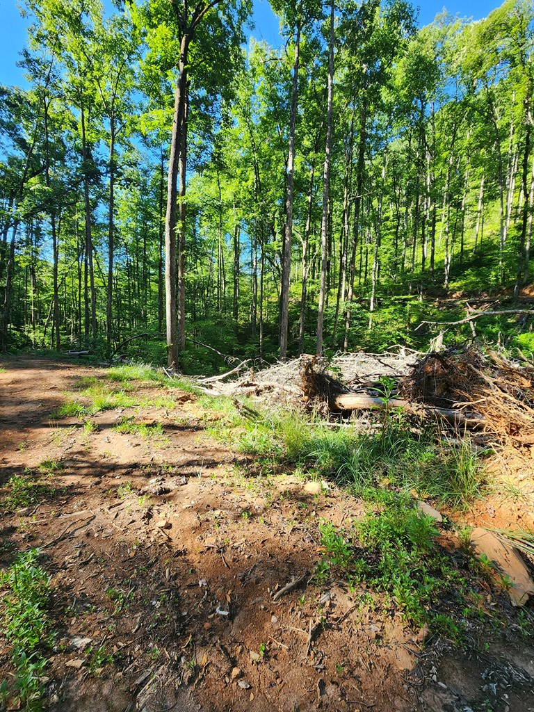 00 Owl Creek Road