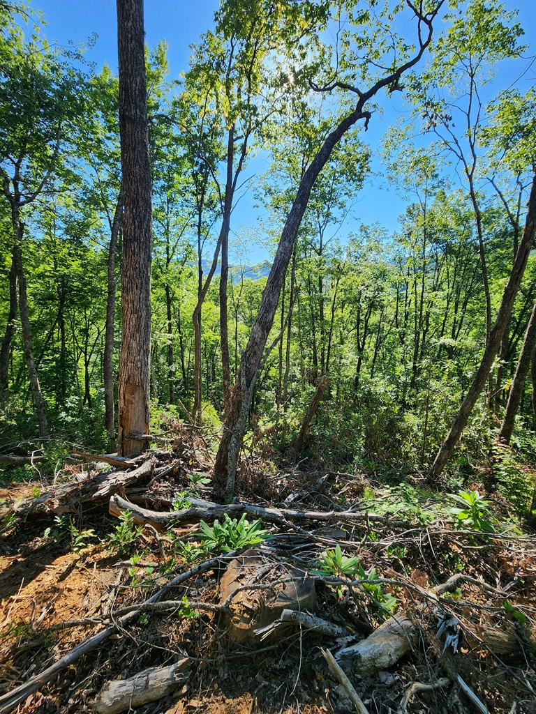 00 Owl Creek Road