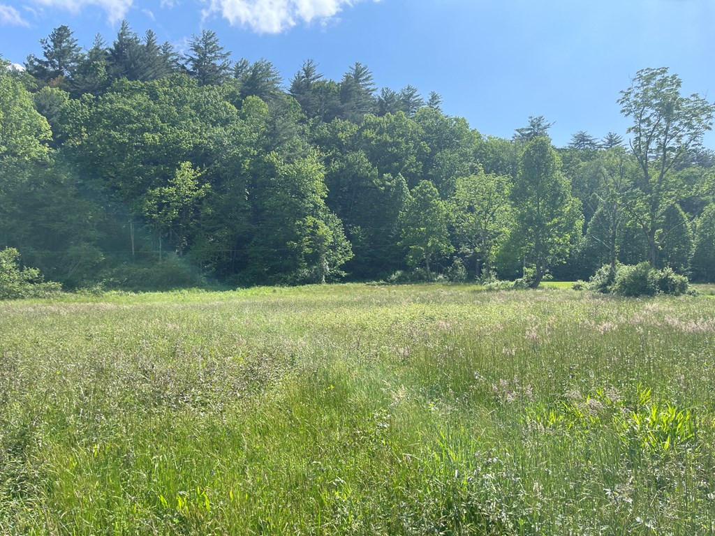 155 Cedar Cliff Lane