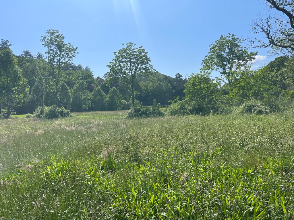 155 Cedar Cliff Lane