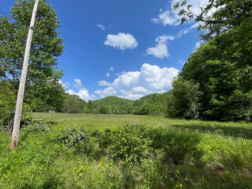 155 Cedar Cliff Lane