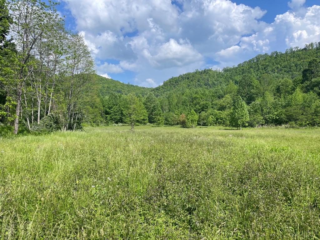 155 Cedar Cliff Lane