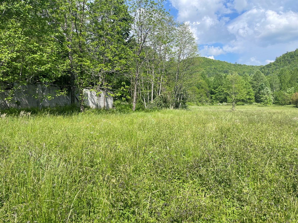 155 Cedar Cliff Lane