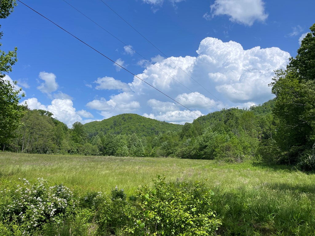 155 Cedar Cliff Lane