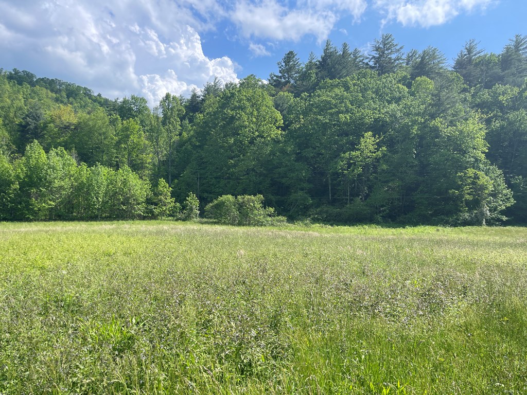 155 Cedar Cliff Lane