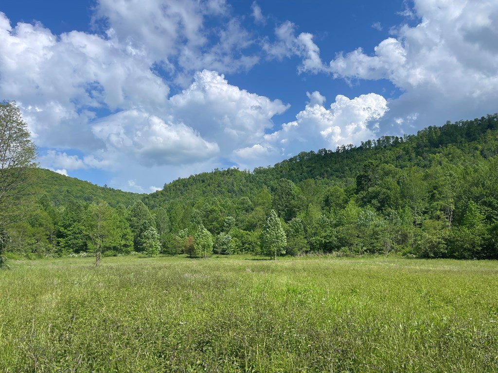 155 Cedar Cliff Lane