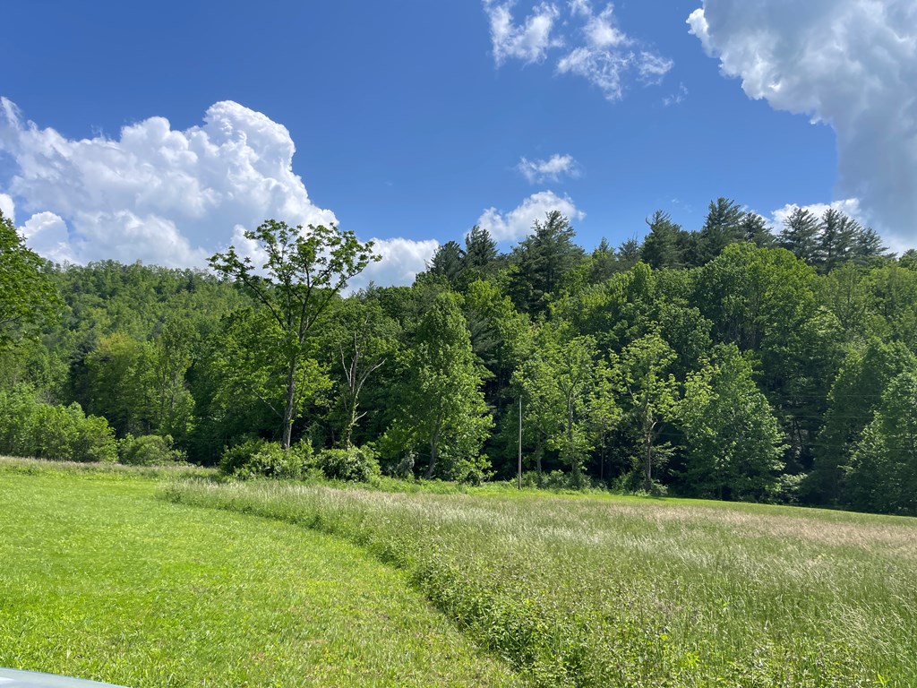 155 Cedar Cliff Lane