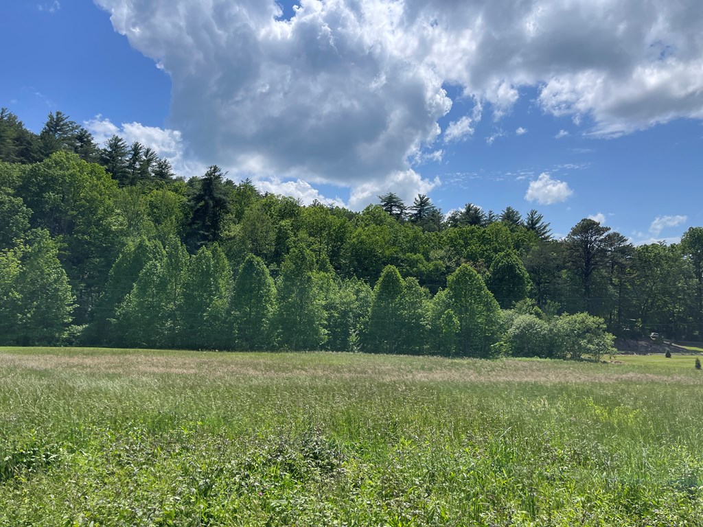 155 Cedar Cliff Lane