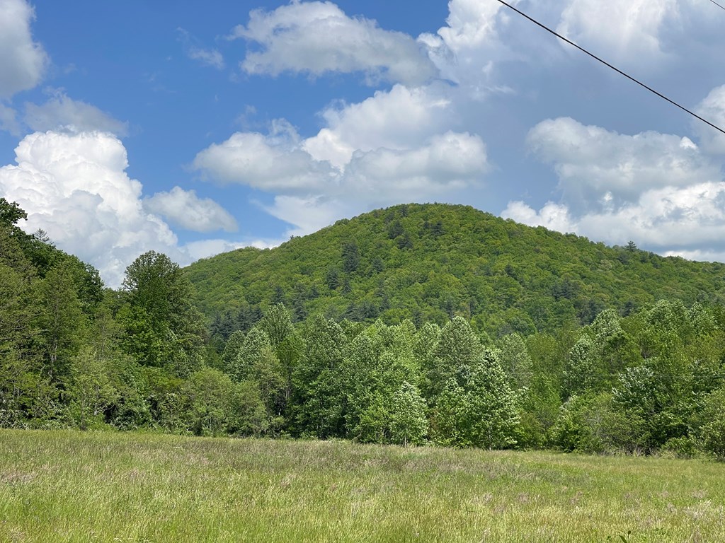 155 Cedar Cliff Lane