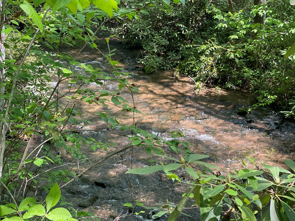 155 Cedar Cliff Lane