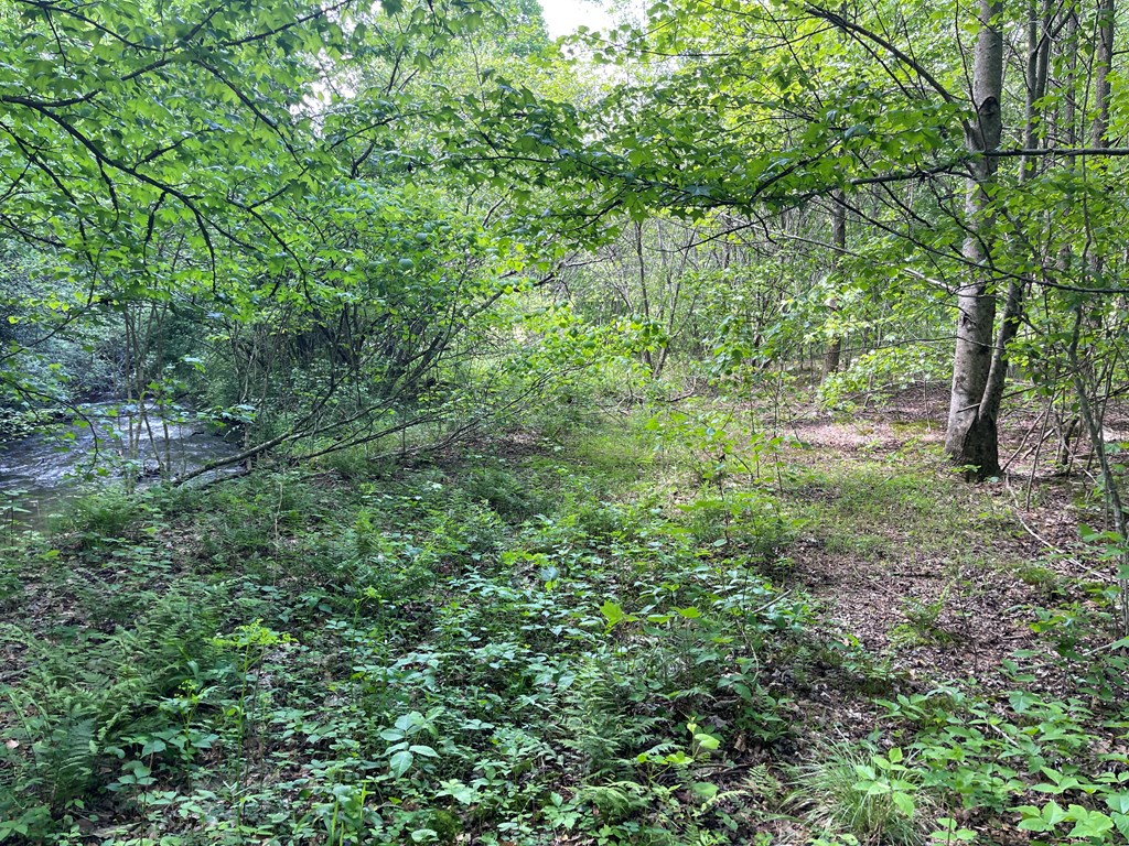 155 Cedar Cliff Lane