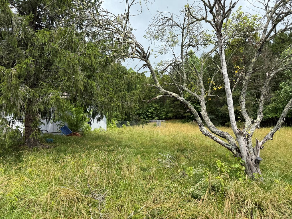 478 Little Ranger Road