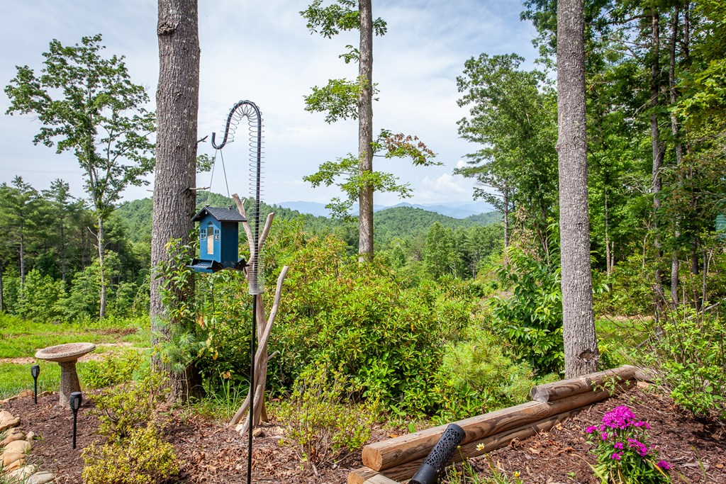 310 Hiwassee Creek Estates