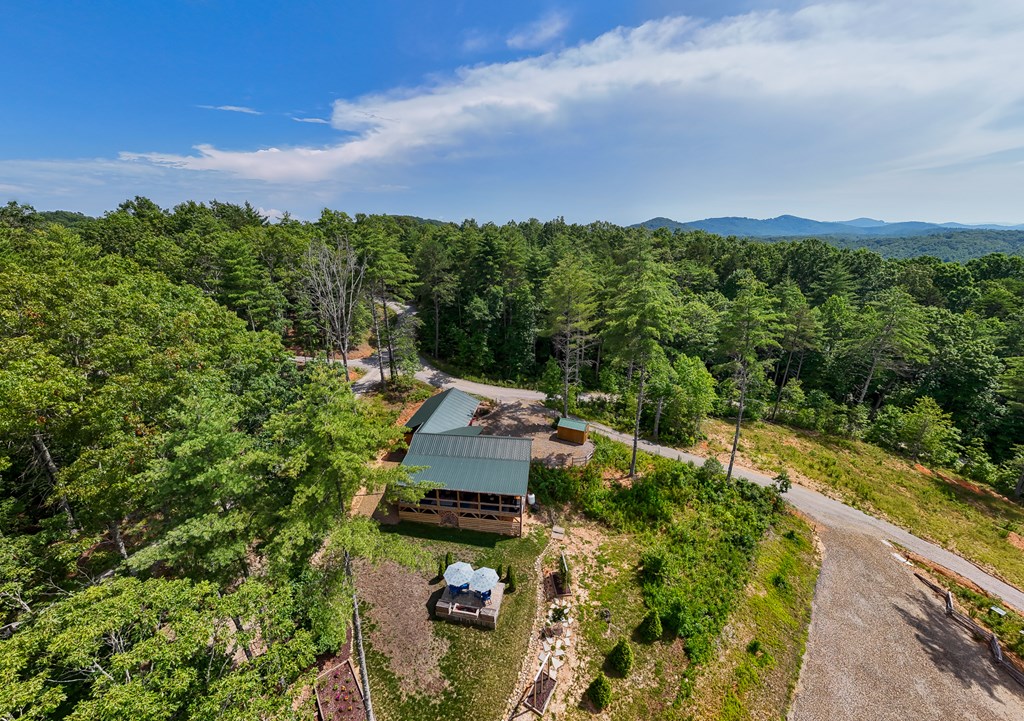 310 Hiwassee Creek Estates