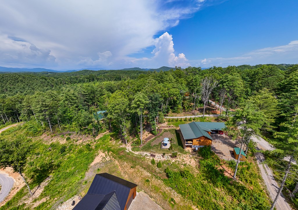 310 Hiwassee Creek Estates