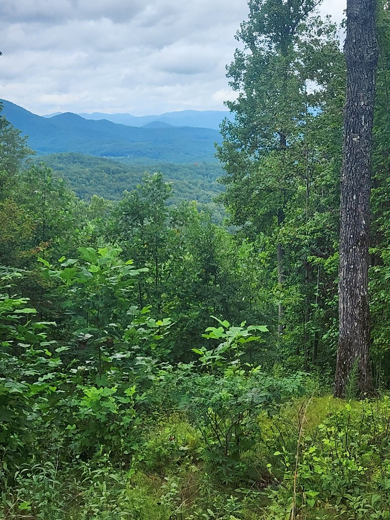 00 Vance Mountain Rd