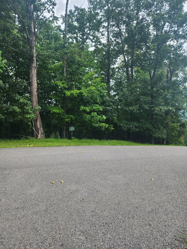 00 Vance Mountain Rd