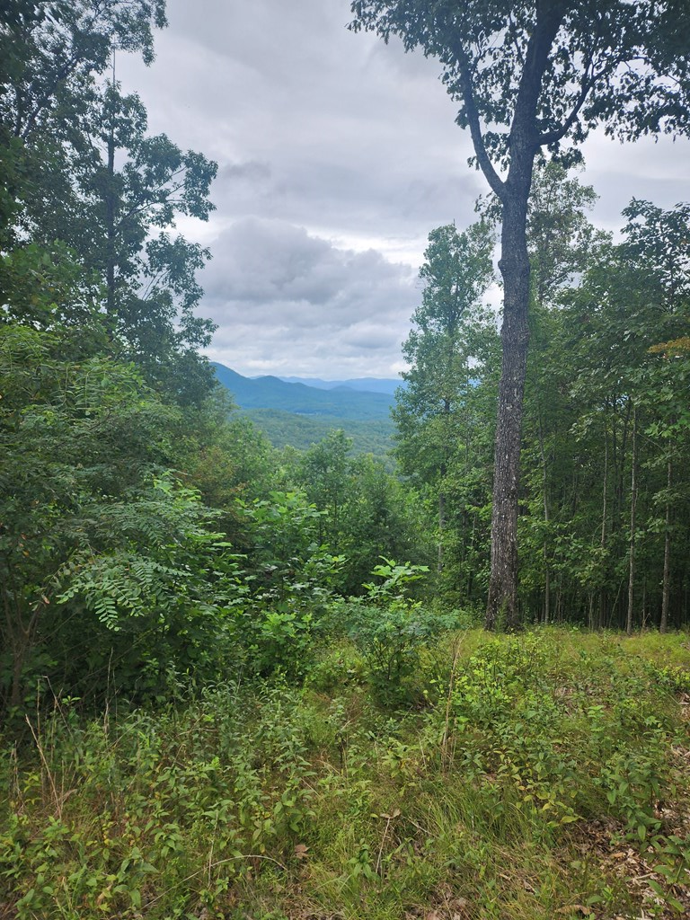 00 Vance Mountain Rd