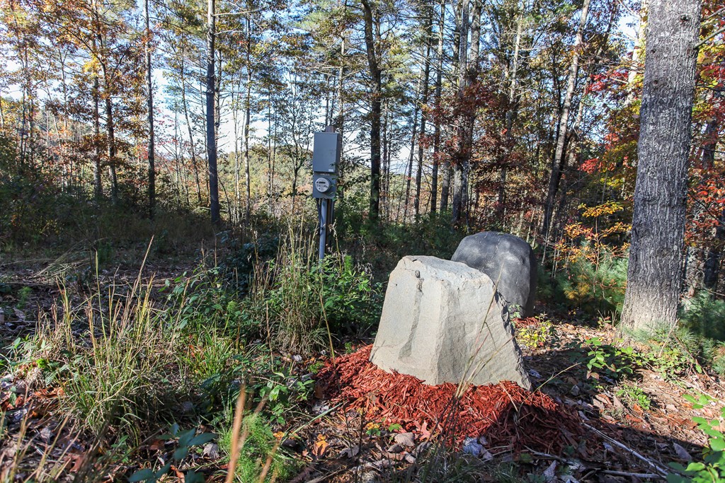 26/27 Bear Ridge Trail