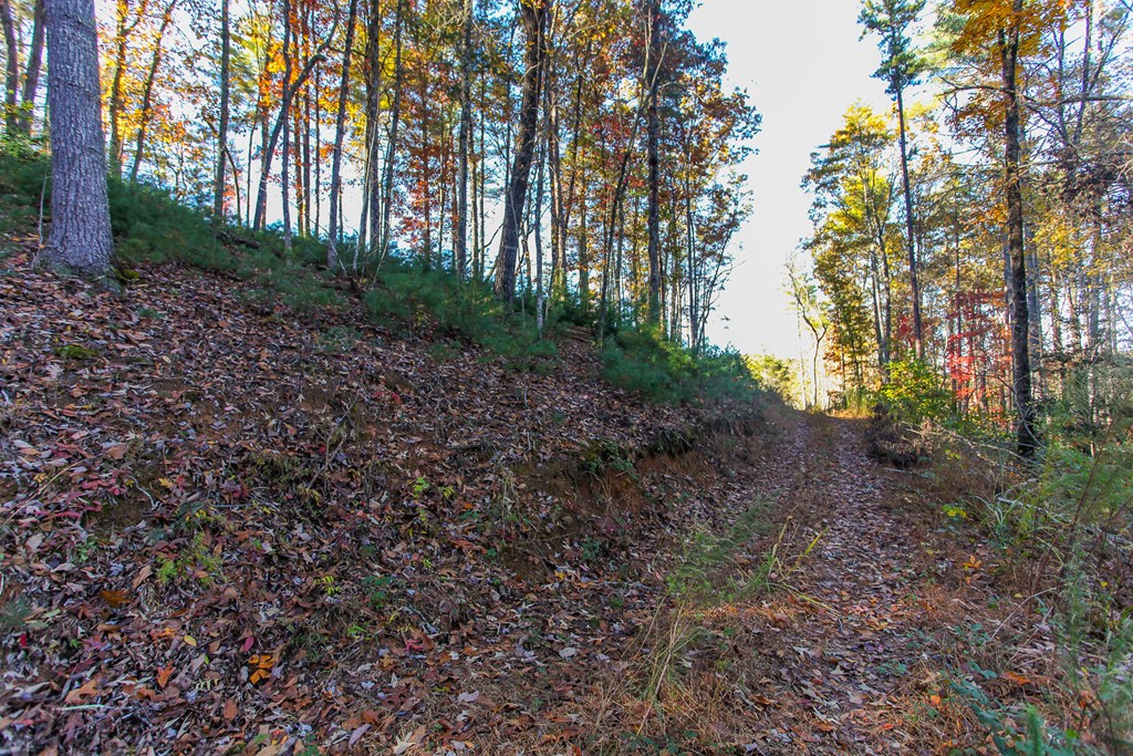 26/27 Bear Ridge Trail